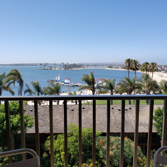 Finding loving adoptive homes for my clothing PETS - Picture 6 of 6